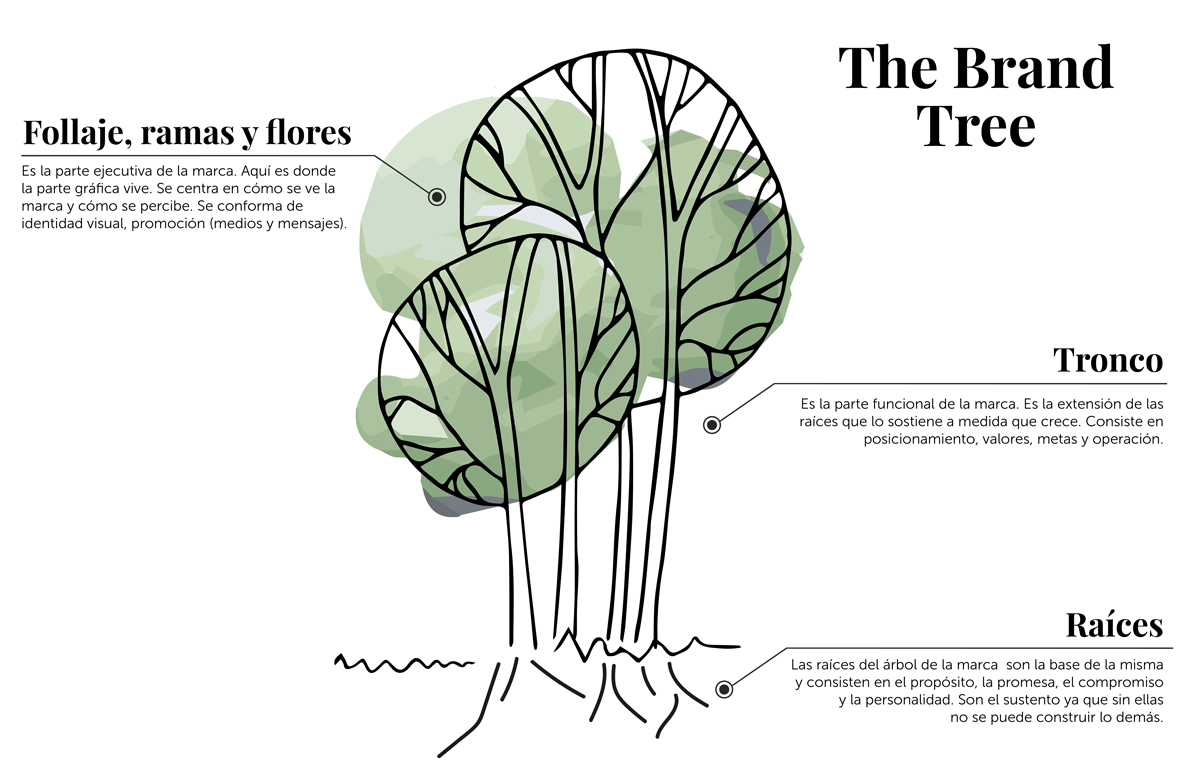 The brand tree